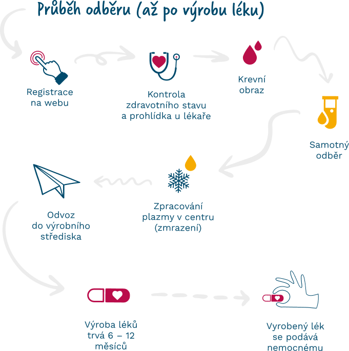 Proces odběru krevní plazmy, její zpracování a výroby léků - infografika