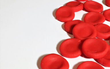 Krvinky – malé buňky s velkou mocí